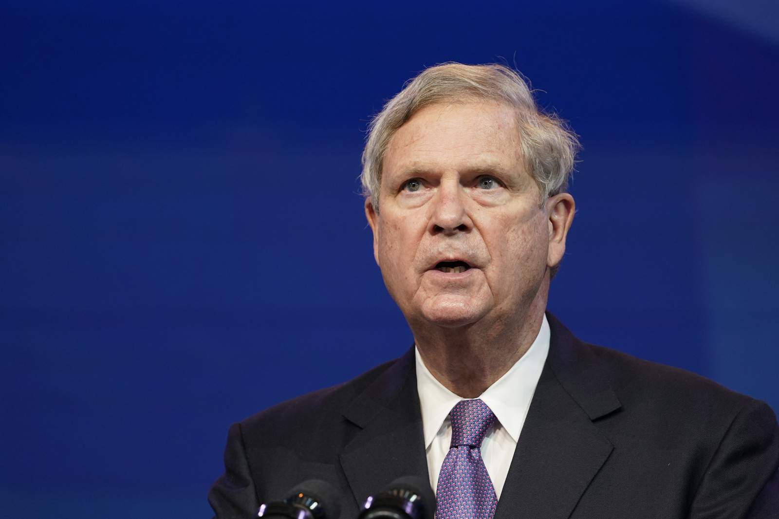 Vilsack confirmed for 2nd stint as US agriculture secretary