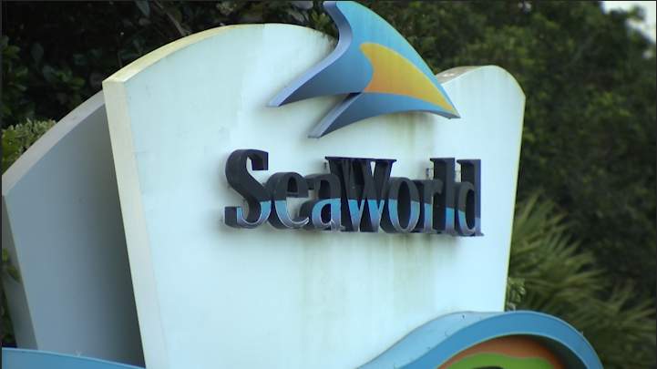 SeaWorld lays off nearly 2,000 workers due to COVID-19 pandemic