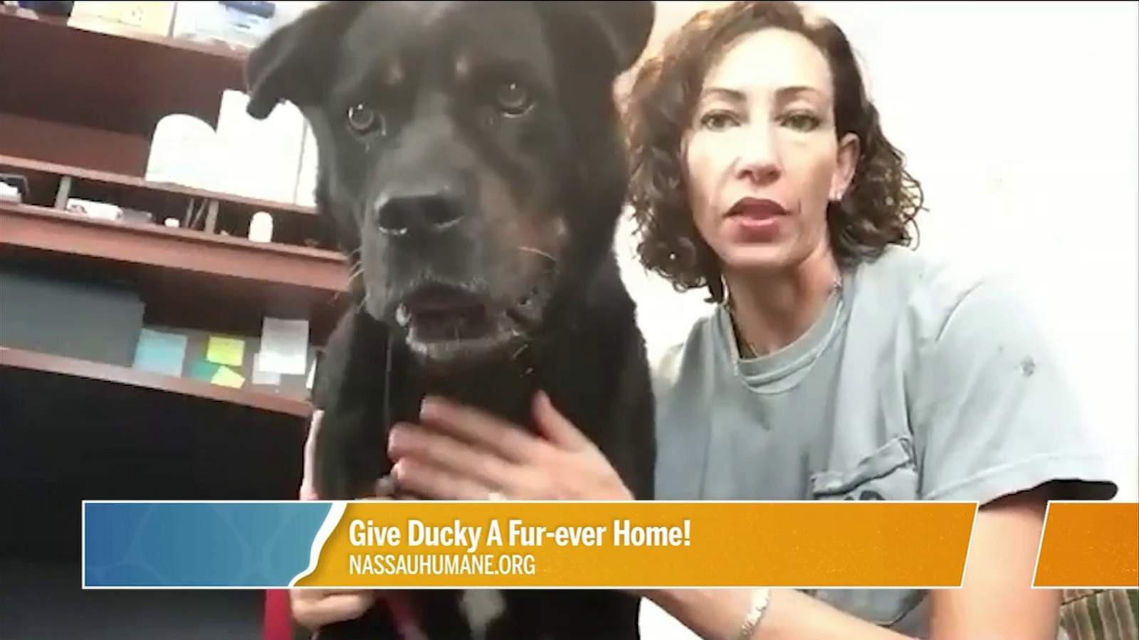 Give Ducky A Fur-ever Home! | River City Live