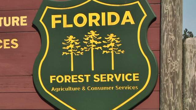 State forests going to cash-free system