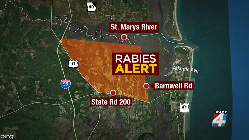 Sick fox prompts rabies alert in Nassau County
