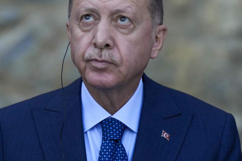 Erdogan orders removal of 10 ambassadors, including US envoy